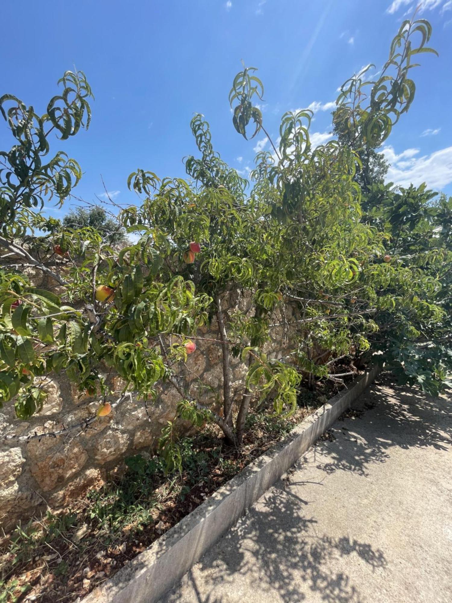 Olympian Rooms Dhermi Bagian luar foto